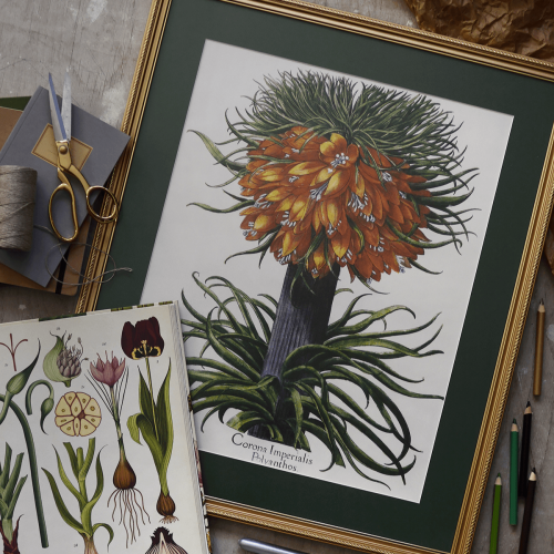 Cienka ozdobna złota ramka - 2