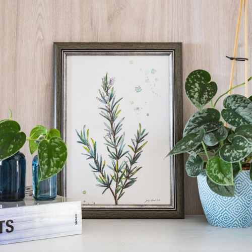 Szarozielona przecierana - 2