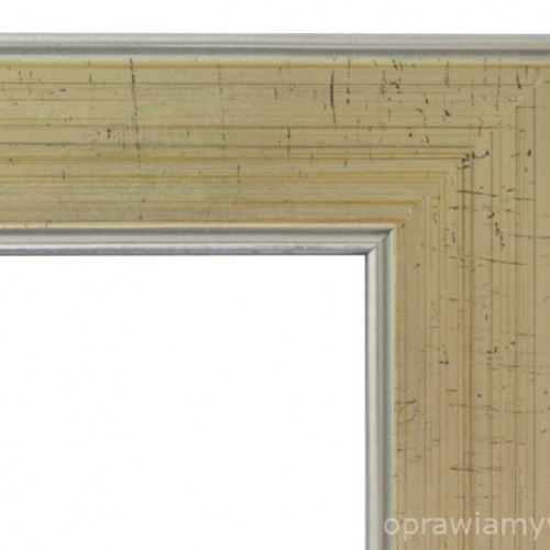 Delikatna srebrna ramka - 4