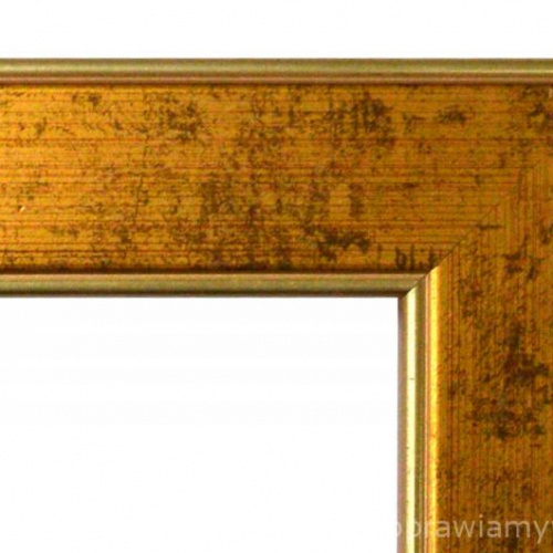 Prosta złota rama - 4