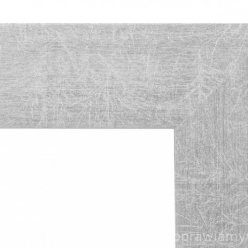 Srebrna nowoczesna rama - 4