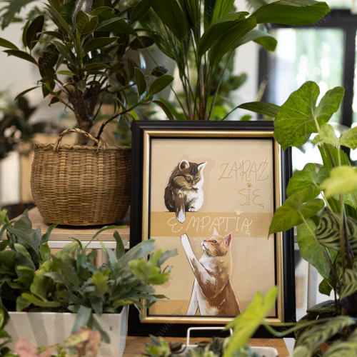 Czarna ze złotym paskiem - 2