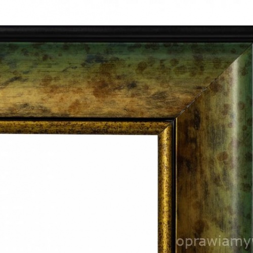 Złotozielona 53-01-67 - 7