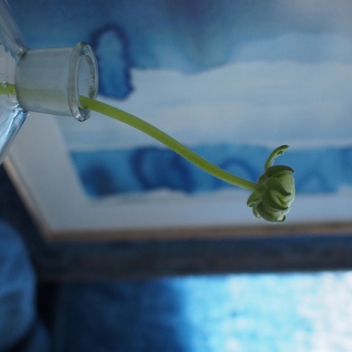 Niebieska ramka 61-01-134 - 11